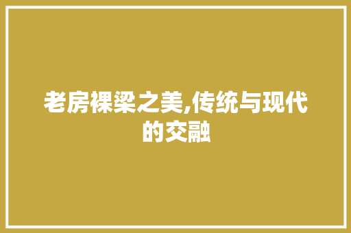 老房裸梁之美,传统与现代的交融