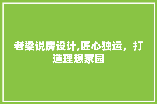 老梁说房设计,匠心独运，打造理想家园