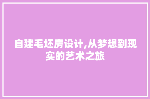 自建毛坯房设计,从梦想到现实的艺术之旅