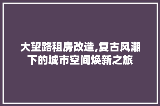 大望路租房改造,复古风潮下的城市空间焕新之旅