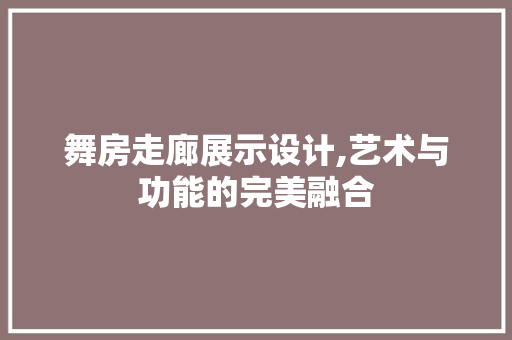舞房走廊展示设计,艺术与功能的完美融合