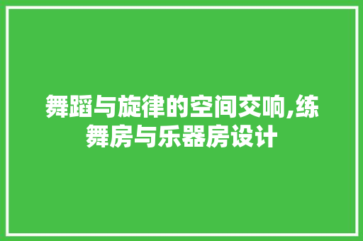 舞蹈与旋律的空间交响,练舞房与乐器房设计