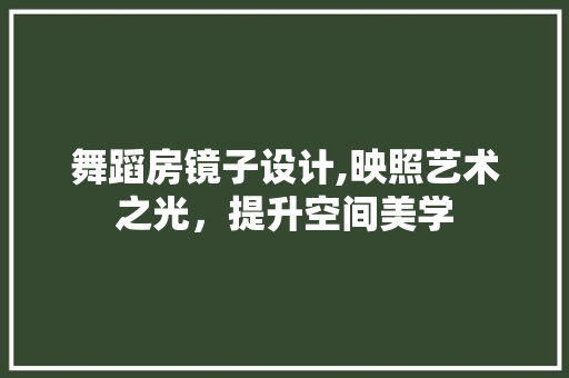 舞蹈房镜子设计,映照艺术之光，提升空间美学