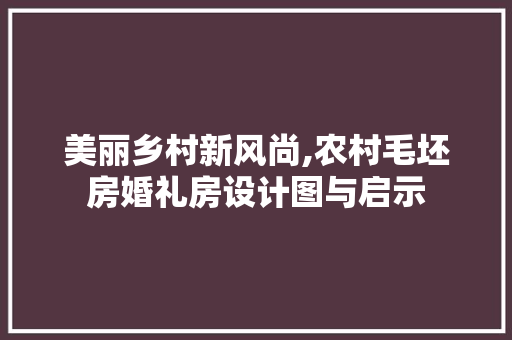 美丽乡村新风尚,农村毛坯房婚礼房设计图与启示