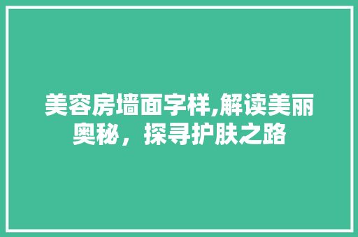 美容房墙面字样,解读美丽奥秘，探寻护肤之路