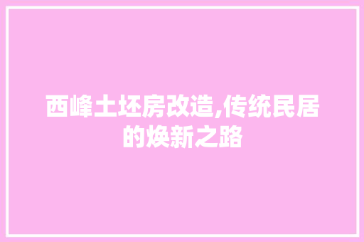 西峰土坯房改造,传统民居的焕新之路
