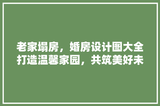 老家塌房，婚房设计图大全打造温馨家园，共筑美好未来