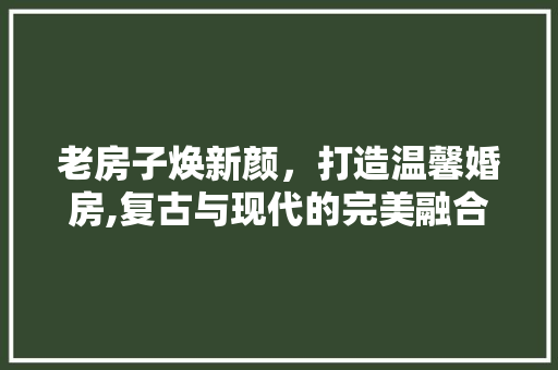 老房子焕新颜，打造温馨婚房,复古与现代的完美融合
