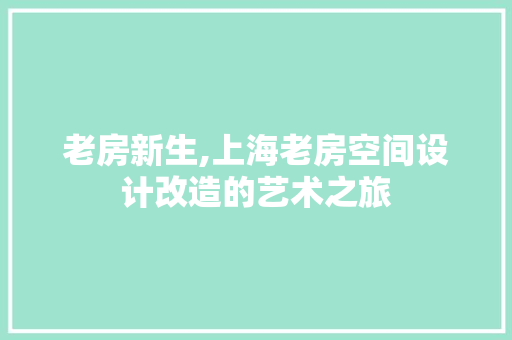 老房新生,上海老房空间设计改造的艺术之旅