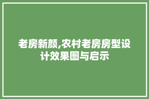 老房新颜,农村老房房型设计效果图与启示