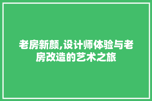 老房新颜,设计师体验与老房改造的艺术之旅