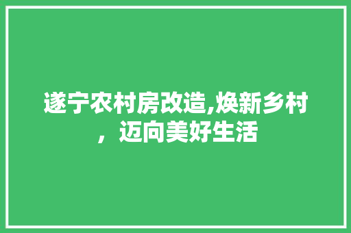遂宁农村房改造,焕新乡村，迈向美好生活