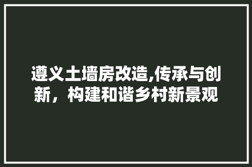 遵义土墙房改造,传承与创新，构建和谐乡村新景观