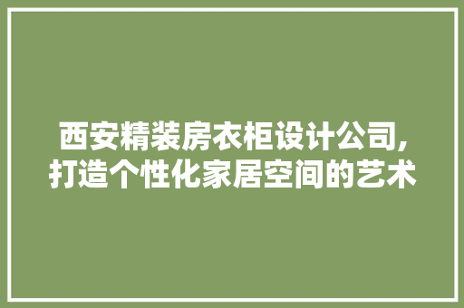 西安精装房衣柜设计公司,打造个性化家居空间的艺术大师