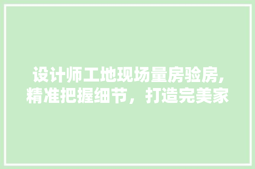 设计师工地现场量房验房,精准把握细节，打造完美家居空间