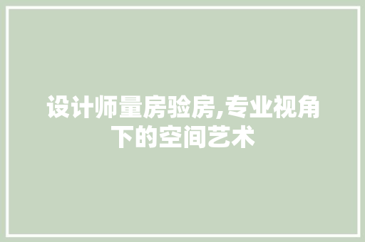 设计师量房验房,专业视角下的空间艺术