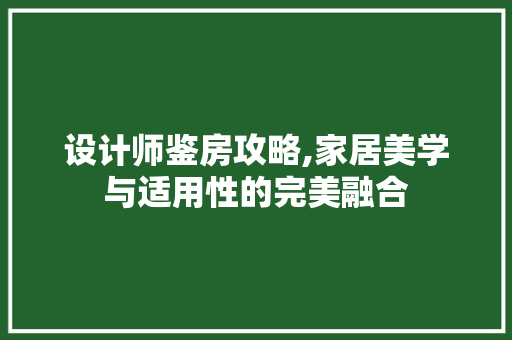 设计师鉴房攻略,家居美学与适用性的完美融合