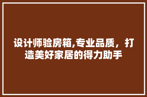 设计师验房箱,专业品质，打造美好家居的得力助手