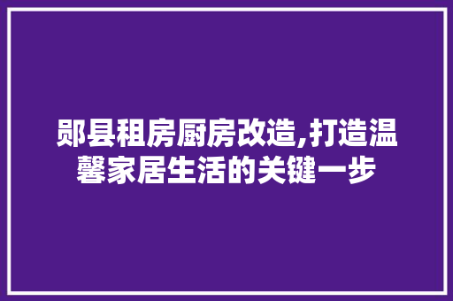 郧县租房厨房改造,打造温馨家居生活的关键一步