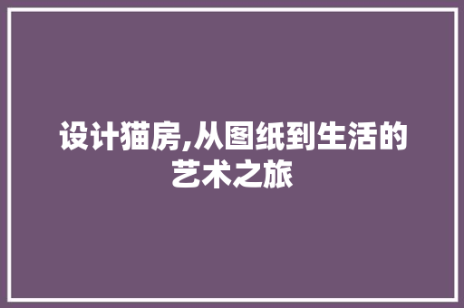 设计猫房,从图纸到生活的艺术之旅