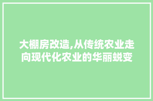 大棚房改造,从传统农业走向现代化农业的华丽蜕变