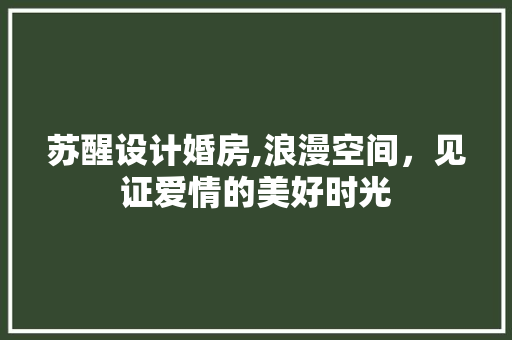 苏醒设计婚房,浪漫空间，见证爱情的美好时光