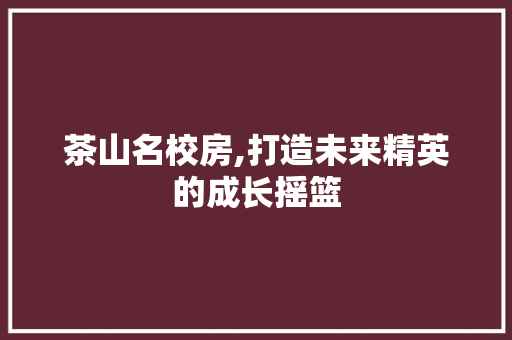 茶山名校房,打造未来精英的成长摇篮