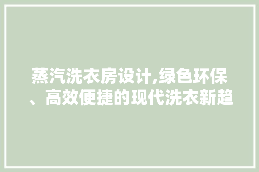 蒸汽洗衣房设计,绿色环保、高效便捷的现代洗衣新趋势