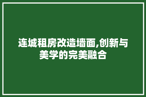 连城租房改造墙面,创新与美学的完美融合