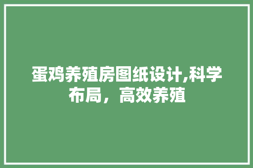 蛋鸡养殖房图纸设计,科学布局，高效养殖