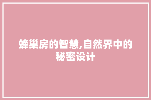 蜂巢房的智慧,自然界中的秘密设计