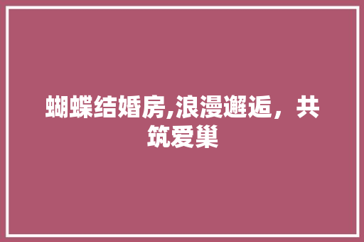 蝴蝶结婚房,浪漫邂逅，共筑爱巢