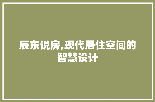辰东说房,现代居住空间的智慧设计