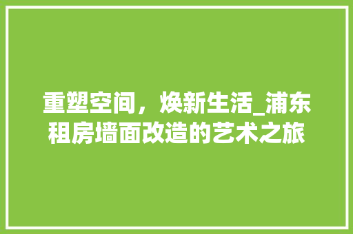 重塑空间，焕新生活_浦东租房墙面改造的艺术之旅