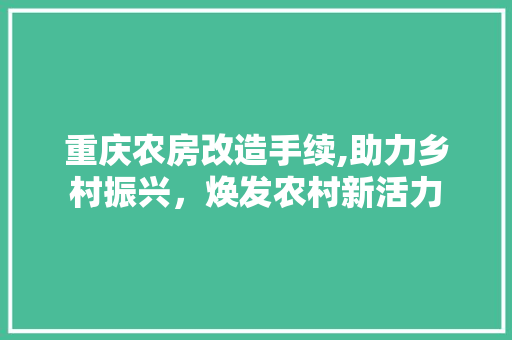重庆农房改造手续,助力乡村振兴，焕发农村新活力