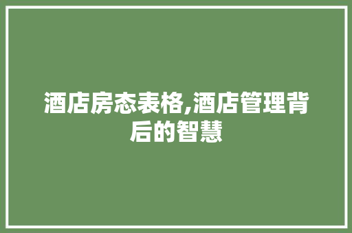 酒店房态表格,酒店管理背后的智慧