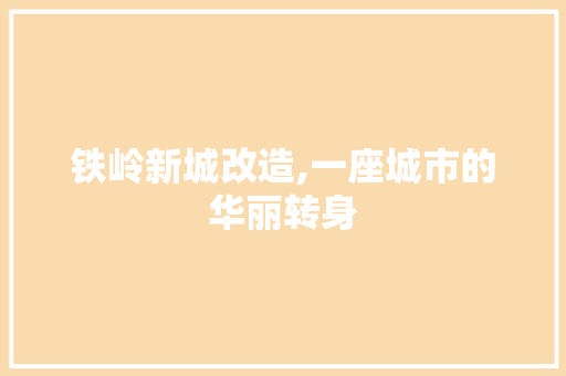 铁岭新城改造,一座城市的华丽转身
