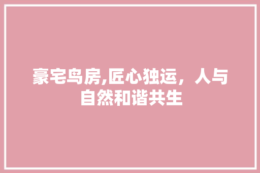 豪宅鸟房,匠心独运，人与自然和谐共生