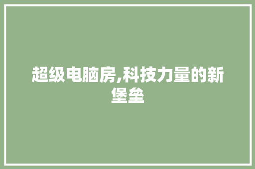 超级电脑房,科技力量的新堡垒