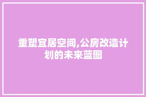 重塑宜居空间,公房改造计划的未来蓝图