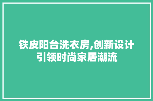 铁皮阳台洗衣房,创新设计引领时尚家居潮流