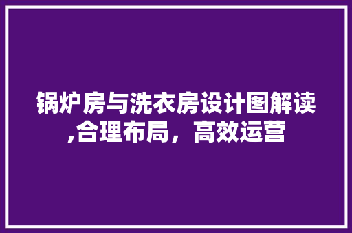 锅炉房与洗衣房设计图解读,合理布局，高效运营