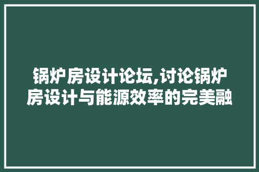 锅炉房设计论坛,讨论锅炉房设计与能源效率的完美融合