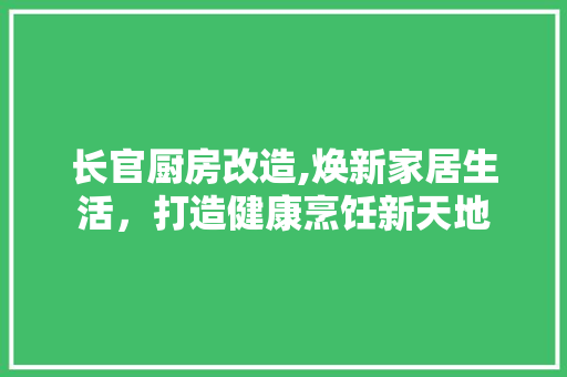 长官厨房改造,焕新家居生活，打造健康烹饪新天地
