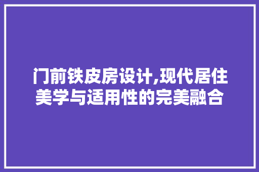 门前铁皮房设计,现代居住美学与适用性的完美融合