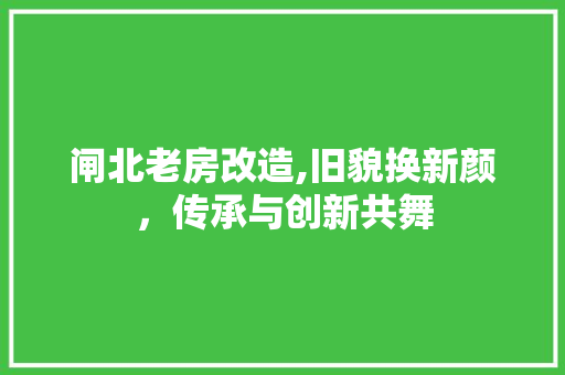闸北老房改造,旧貌换新颜，传承与创新共舞