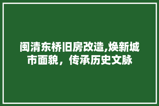 闽清东桥旧房改造,焕新城市面貌，传承历史文脉