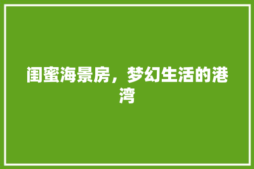 闺蜜海景房，梦幻生活的港湾
