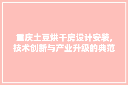 重庆土豆烘干房设计安装,技术创新与产业升级的典范