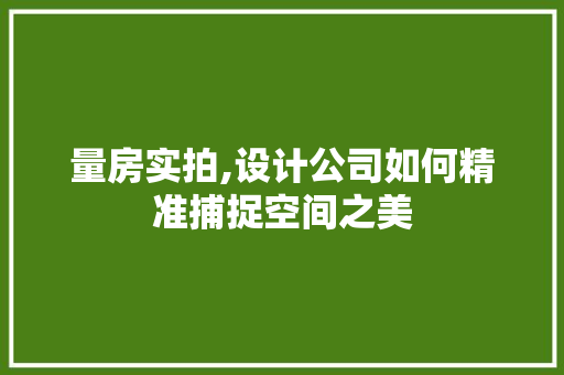 量房实拍,设计公司如何精准捕捉空间之美